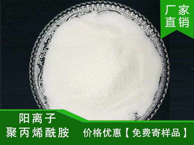 阳离子聚丙烯酰胺